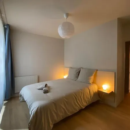 Appartement Centre-ville Historique Grenoble